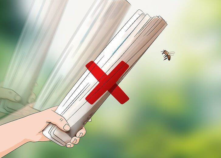 زنبورهای قاتل را نکشید