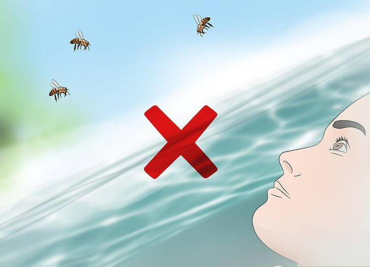 برای فرار از زنبورهای قاتل داخل آب نپرید